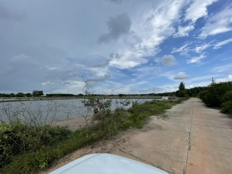 ที่ดินติดริมแม่น้ำบางประกง มีถนนคอนกรีต น้ำ ไฟ