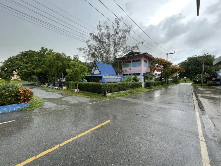 ที่ดินติดริมแม่น้ำบางประกง มีถนนคอนกรีต น้ำ ไฟ