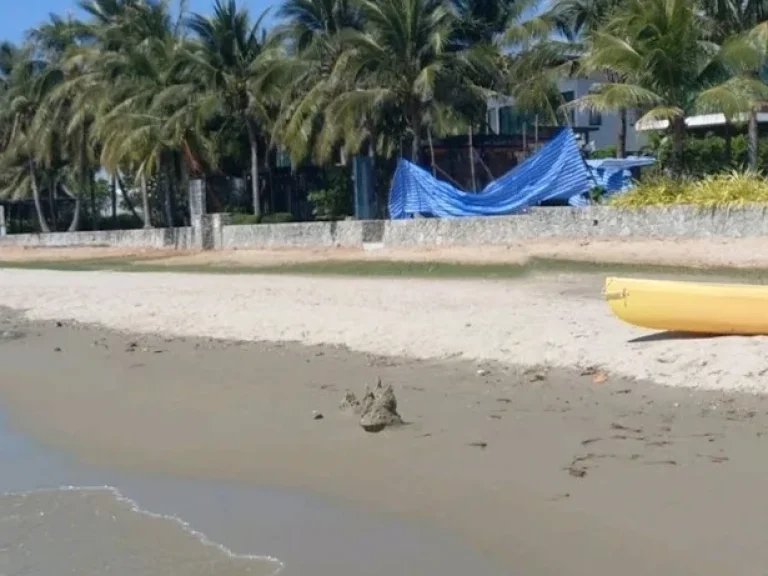 ขายที่ดินติดทะเลหาดแหลมแม่พิมพ์พื้นที่ 2 งานขาย 3 5 ล้านเหมาะสำหรับทำบ้านพักริมทะเลได้ค่ะ