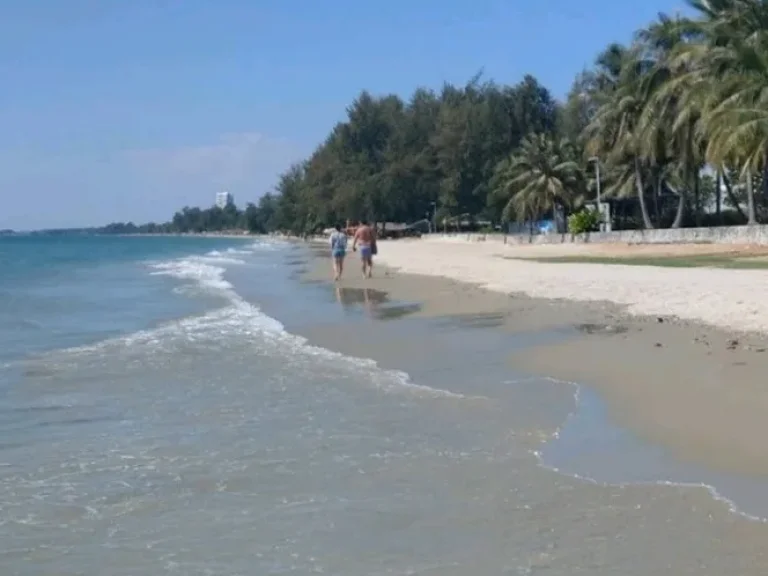 ขายที่ดินติดทะเลหาดแหลมแม่พิมพ์พื้นที่ 2 งานขาย 3 5 ล้านเหมาะสำหรับทำบ้านพักริมทะเลได้ค่ะ