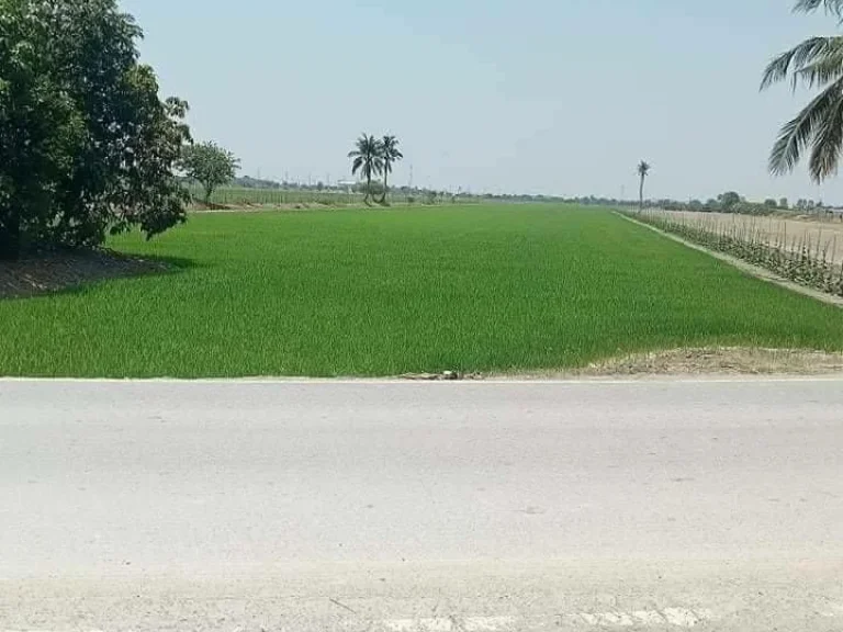 ขายที่ดินติดถนน ซอยวัดพระมอพิสัย ตำบลบางภาษี อำเภอบางเลน จังหวัดนครปฐม