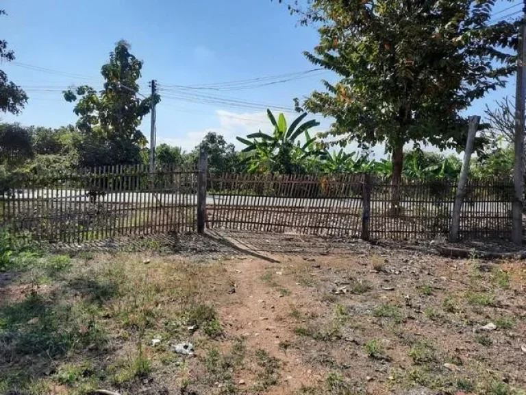 Land For Sale ที่ดินราคาถูก ติดถนนดำ ใกล้โรงเรียนวัดสันเหมือง ลำพูน