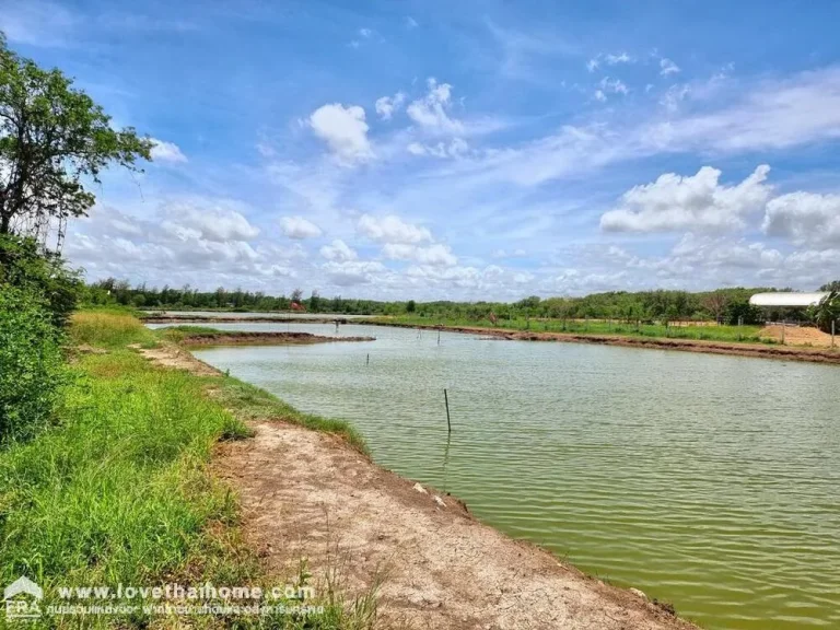 ขายที่ดินทำเลทอง หลังจุดพักรถมอเตอร์เวย์ สาย7 บางปะกง ฉะเชิงเทรา พื้นที่3-0-2ไร่ ขายถูกมาก 21ล้าน ราคาต่อรองได้ ใกล้ Airport Link สถานีทับช้าง