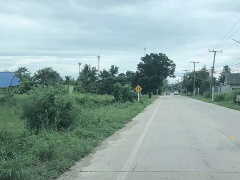 ขายที่ดินติดถนนคอนกรีตใกล้แยกต้นดู่วิวดอยสุเทพโฉนดพร้อมโอน