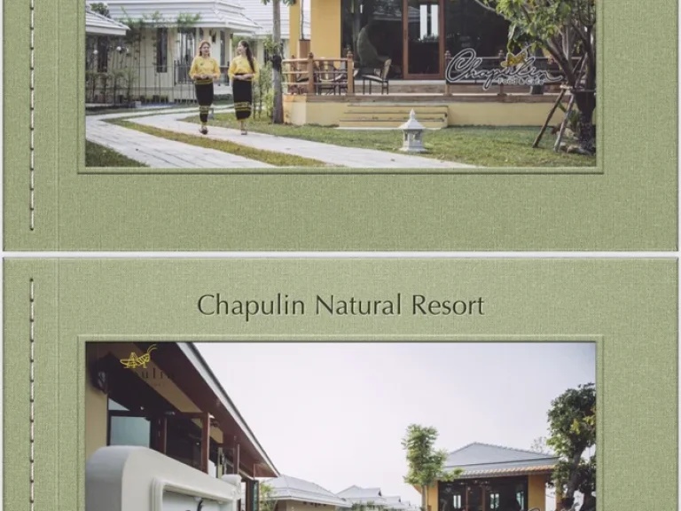 ขายรีสอร์ต Chapulin Natural Resort ตสันกำแพง อสันกำแพง จเชียงเชียงใหม่