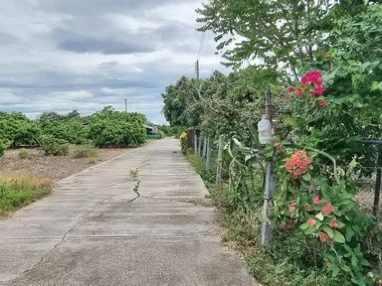 โซนบ้านเหล่า เวียงหนองล่อง ป่าซาง ลำพูน บ้านในสวนผสม บ้านเหล่า