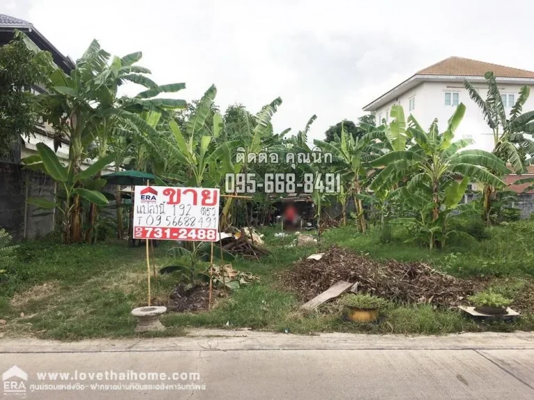 ขายด่วนที่ดินถมแล้ว ถรัชดาภิเษก36 แยก11 พื้นที่192ตรว เหมาะสำหรับสร้างคอนโดมิเนียม หรือปลูกบ้านได้เลย