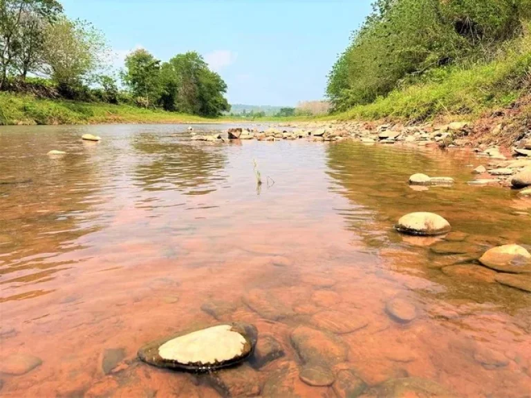 ที่ดินขายริมแม่น้ำน่าน วิวแม่น้ำและภูเขา สวยมาก จน่าน