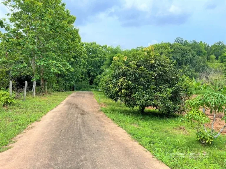 ขายบ้านพร้อมอยู่ วิวดี บรรยากาศดี พร้อมสวนผสมผสาน จน่าน