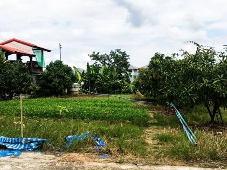 ขายที่ดินใกล้เมือง โซนบ้านแหวนติดสันผักหวาน บรรยากาศดี วิวสวย เดินทางสะดวก