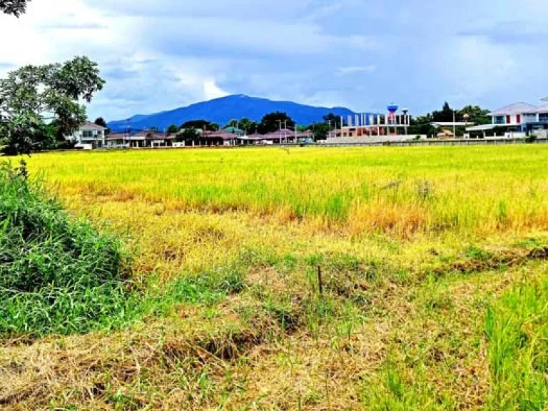 ขายที่ดินใกล้เมือง โซนบ้านแหวนติดสันผักหวาน บรรยากาศดี วิวสวย เดินทางสะดวก