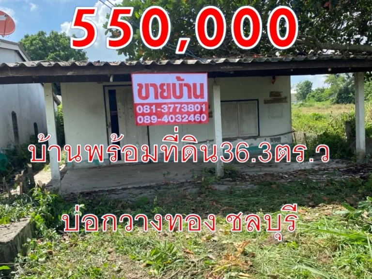 ขายบ้านพร้อมที่ดิน363ตารางวา บ่อทอง บ่อกวางทอง ชลบุรี 550000 เจ้าของขายเอง ต่อรองได้ ใกล้โรงงานใหญ่หลายโรงงาน ซื้อไว้อยู่เองถูกกว่าเช่า