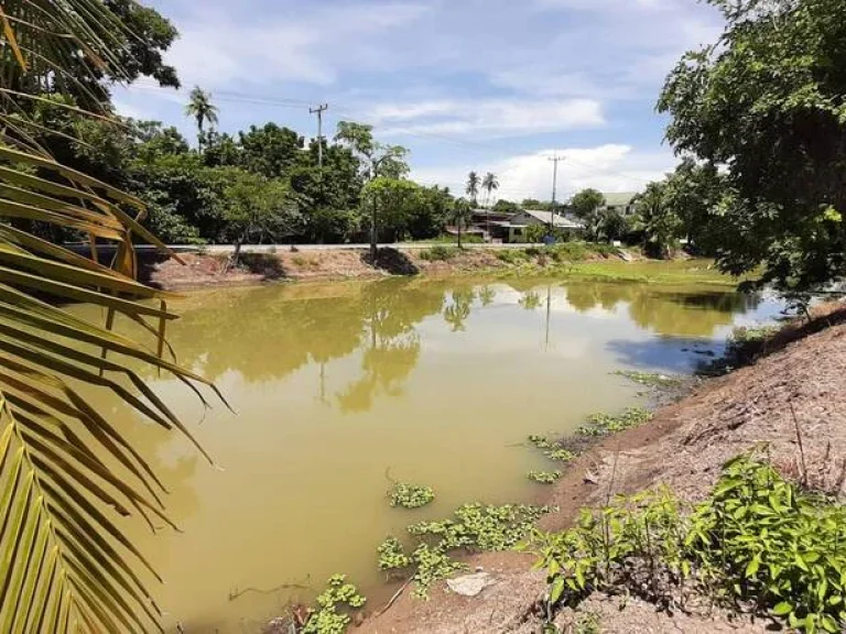 ขายที่ดินถมสูง ติดถนนริมคลองชลประทาน ไผ่ขวาง สุพรรณบุรี