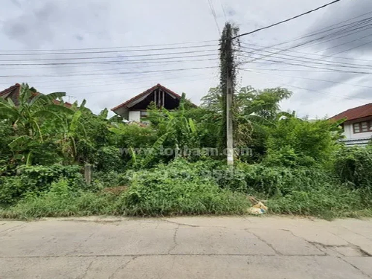 ขายที่ดินพร้อมสิ่งปลูกสร้าง พิมานปรีดา ท่าอิฐ-ไทรม้า ถนนรัตนาธิเบศร์ อำเภอปากเกร็ด นนทบุรี