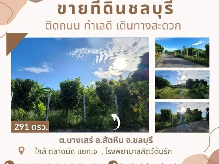 ขายที่ดินสัตหีบ ติดถนน ใกล้ถนนสุขุมวิทเพียง 300 เมตร ทำเลดี ตบางเสร่ อสัตหีบ จชลบุรี