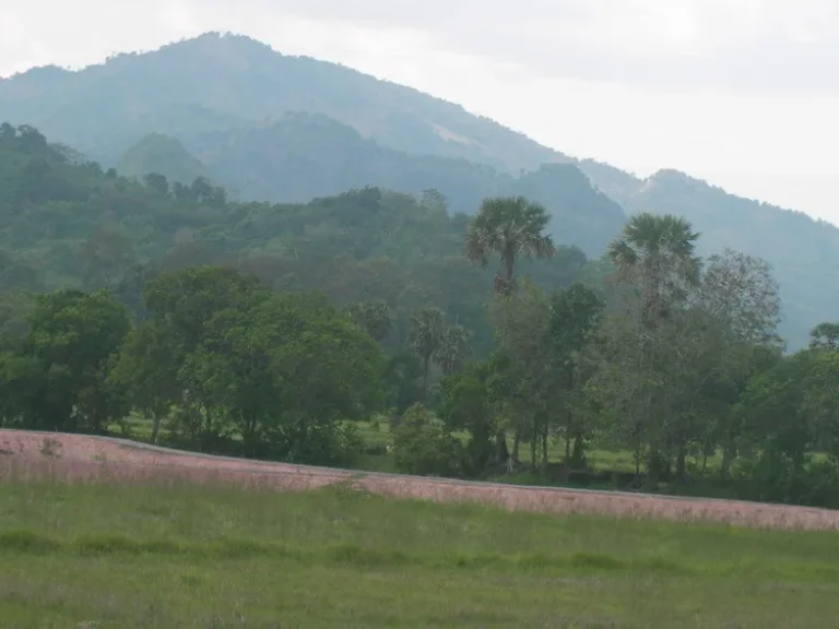 ขายที่ดิน วิวสวย ขุดโคก หนอง นา แล้ว ถมปรับระดับทั้งแปลง