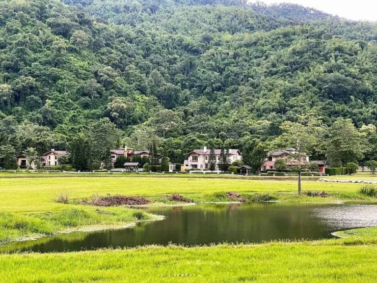 ขายบ้านพักตากอากาศเขาใหญ่ บ้านริมทะเลสาปในหุบเชา ติดอุทยานแห่งชาติเขาใหญ่ เส้นธนะรัชต์ หมูสี อยู่ตรงทางขึ้นอุทยาน วิวเขาสวยมาก เหลือเพียง 2 หลัง