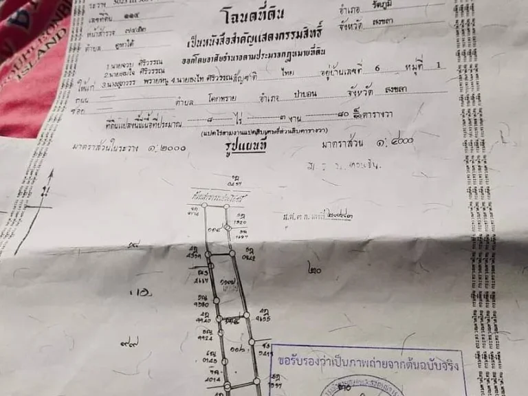 ขายถูกที่ดิน 7 ไร่2งาน 145ตรวา ทำเลดีใกล้ถนนเพชรเกษมและถนนเอเชีย