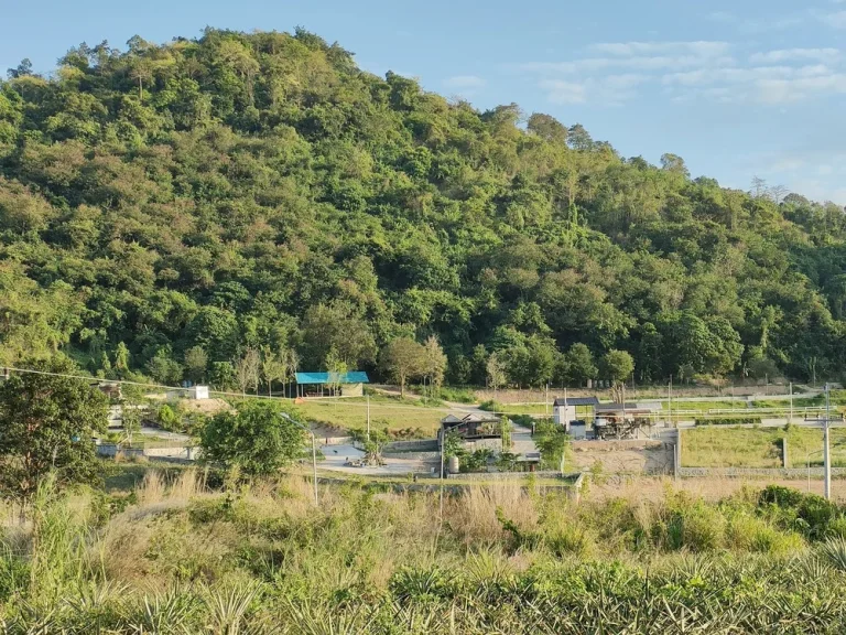 ขาย ที่ดินเปล่า ติดภูเขา ติดถนน หันหน้าไปทาง จุดชมวิว quotเนินส่องตะวันquot