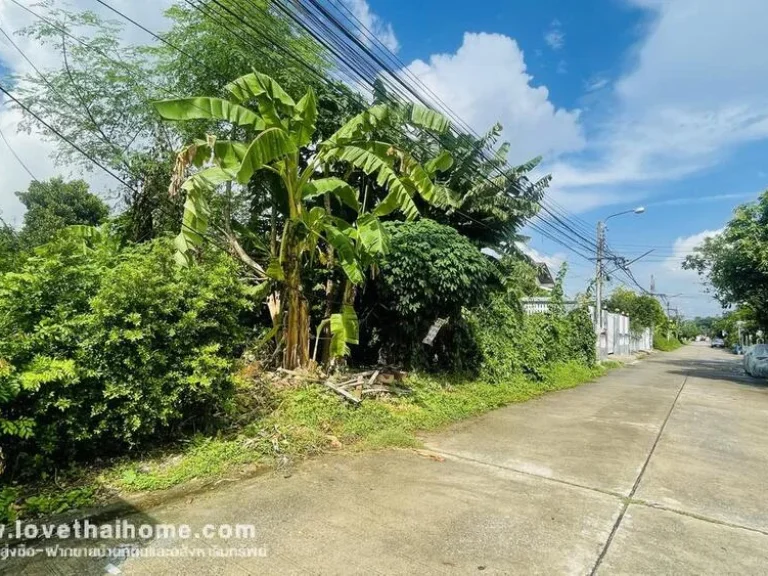 ขายที่ดินหมู่บ้านประชาชื่น ซอยสามัคคี63 พื้นที่109ตรวขายถูกมากเพียงแค่5ล้านบาทเท่านั้น พูดได้เลยว่าต้องรีบซื้อ รีบซื้อ ถนนกว้าง 9 เมตร ถมแล้ว650861