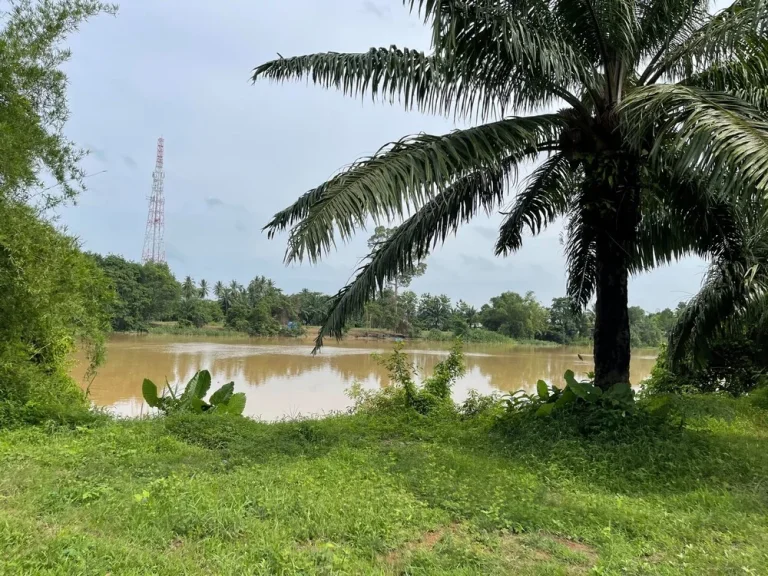 ขายที่ดินโครงการริมสะพานแม่น้ำพุมดวง - ถนนเอเชีย ตท่าโรงช้าง อพุนพิน สุราษฎร์