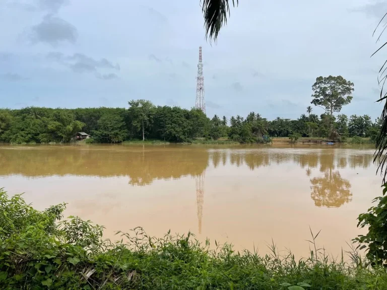 ขายที่ดินโครงการริมสะพานแม่น้ำพุมดวง - ถนนเอเชีย ตท่าโรงช้าง อพุนพิน สุราษฎร์