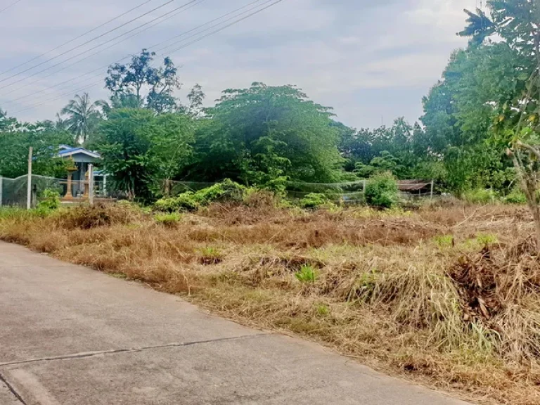 ขายที่ดินชลบุรี 1 ไร่ ถมแล้ว ตท่าบุญมี อเกาะจันทร์ ใกล้อ่างเก็บน้ำรัชชโลทร ติดถนน Flash Sales ตค65