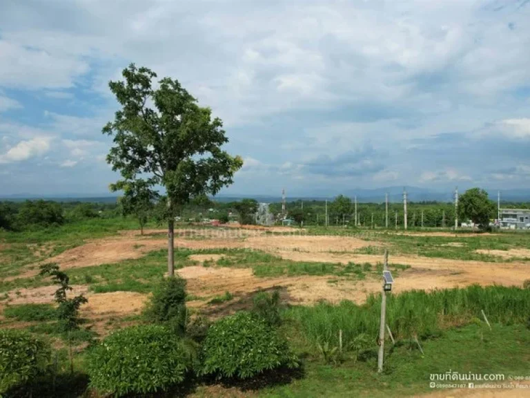 ที่ดินติดถนนทางหลวง 101 เวียงสา-น่าน เหมาะสำหรับลงทุน ฯลฯ