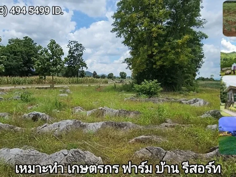 ที่ดินเขาใหญ่ ตัดใจไม่แพง 2ไร่ 16ล้าน หน้า My Ozone ต วังไทร อ ปากช่อง