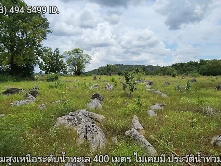 ที่ดินเขาใหญ่ ตัดใจไม่แพง 2ไร่ 16ล้าน หน้า My Ozone ต วังไทร อ ปากช่อง