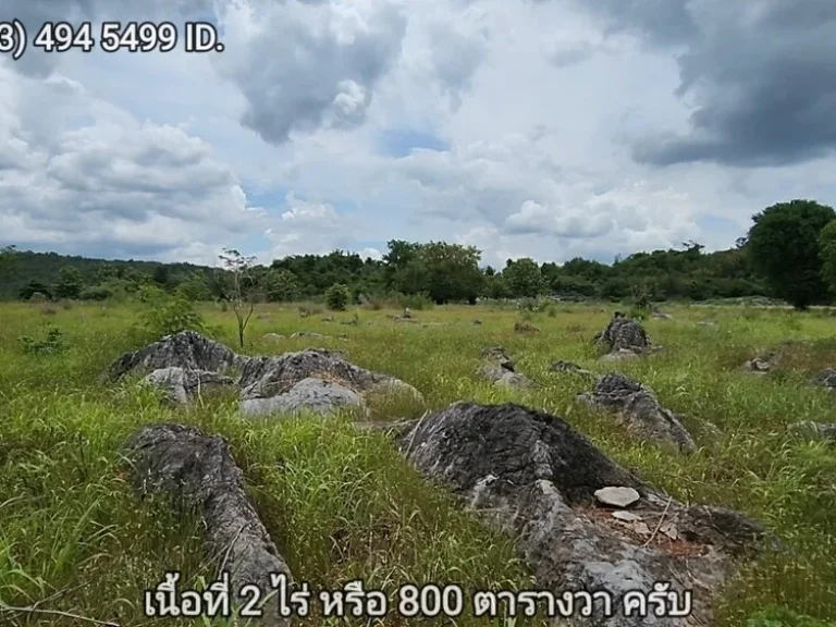 ที่ดินเขาใหญ่ ตัดใจไม่แพง 2ไร่ 16ล้าน หน้า My Ozone ต วังไทร อ ปากช่อง