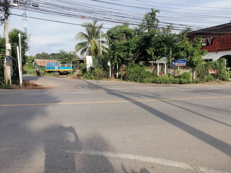 ขายที่ดิน 231ตรว อยู่ถนนตรงกันข้ามกับทางเข้าสถานีรถไฟบ้านเต็งหนาม เมืองพิษณุโลก