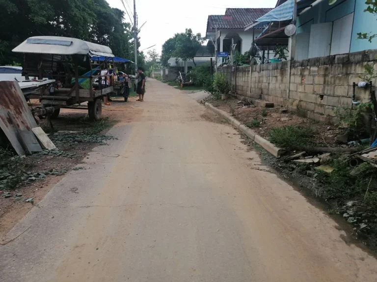 ขายที่ดิน 231ตรว อยู่ถนนตรงกันข้ามกับทางเข้าสถานีรถไฟบ้านเต็งหนาม เมืองพิษณุโลก