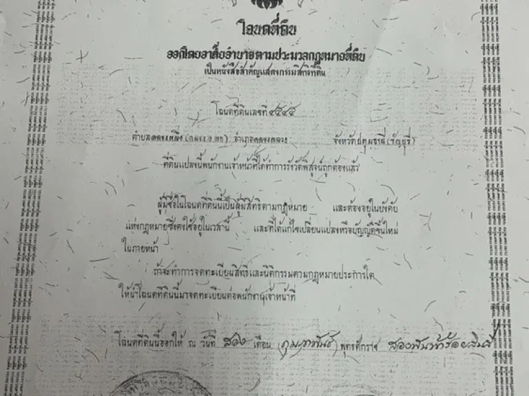 ที่ดิน 780 ตรว รวม 3 โฉนด ตรงข้าม มกรุงเทพ รังสิต ถพหลโยธิน หน้ากว้าง 40 เมตร ขาย 68 ล้านบาท