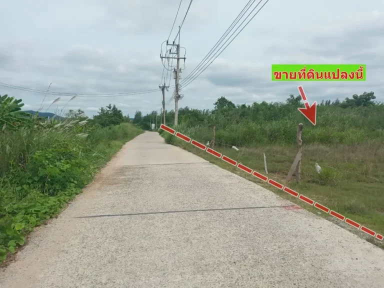 ขายที่ดินแปลงสวยถมแล้ว 9-3-48 ไร่ ติดถนนคอนกรีต วิวภูเขา ห่างหาดบางเสร่ 2 km ตบางเสร่ อสัตหีบ จชลบุรี