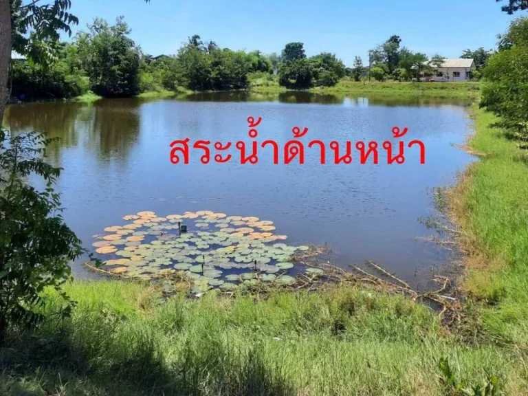 ขายที่ดินบรรยากาศดีมีเพื่อนบ้านด้านหน้าติดสระน้ำ ขนาด 1 ไร่ 3 งาน ตำบลรางบัว อำเภอจอมบึง ราชบุรี ฟรีค่าโอน