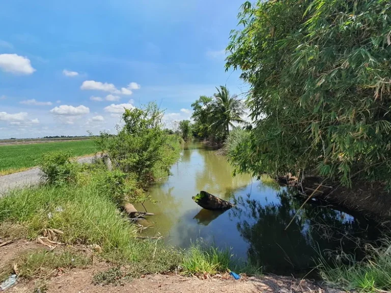 วิวธรรมชาติ ใกล้ กรุงเทพ Vายราคาถูก ฮวงจุ้ยดี ติดคลองชลประทานดิน ติดทางสาธารณะ พื้นที่ 72 ไร่