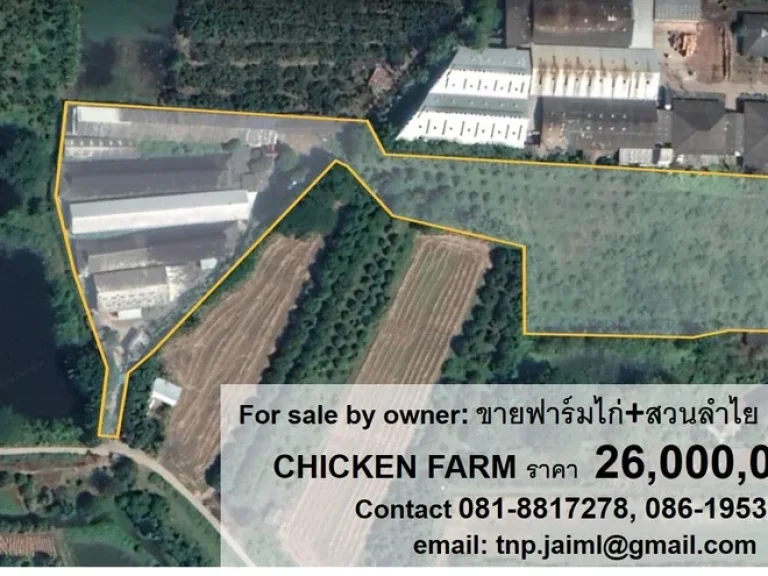 ขายฟาร์มไก่ ตำบลบ้านกลาง อำเภอสันป่าตอง จังหวัดเชียงใหม่ POULTRY CHICKEN FARM FOR SALE by owner