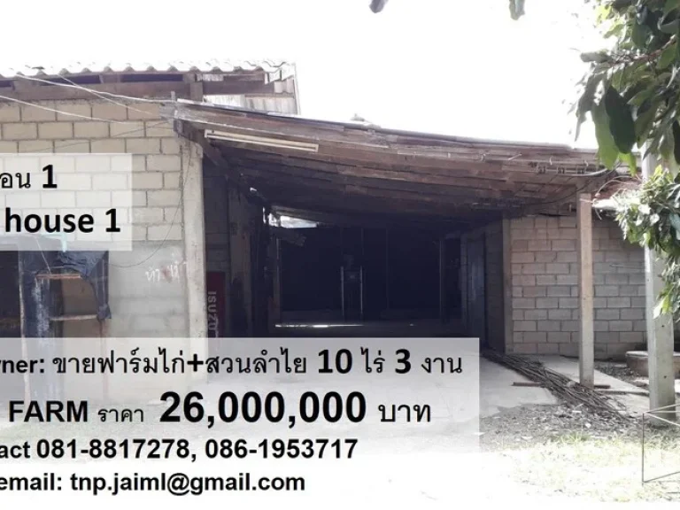 ขายฟาร์มไก่ ตำบลบ้านกลาง อำเภอสันป่าตอง จังหวัดเชียงใหม่ POULTRY CHICKEN FARM FOR SALE by owner