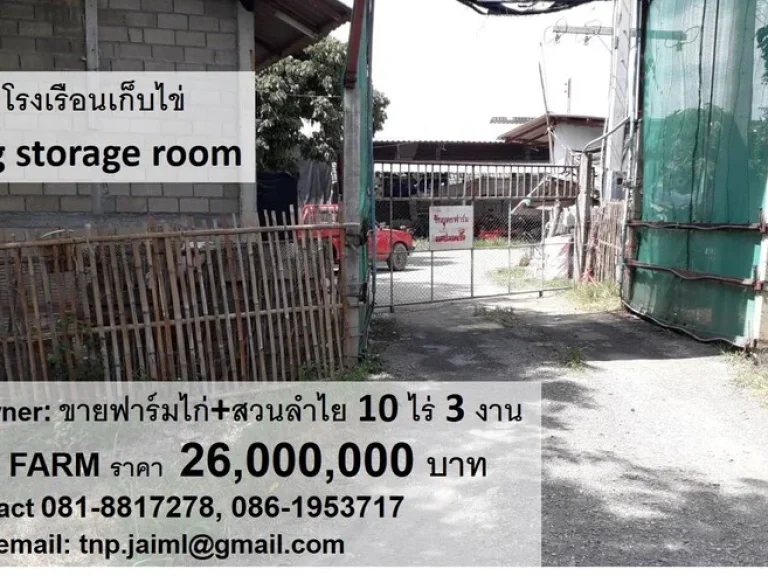 ขายฟาร์มไก่ ตำบลบ้านกลาง อำเภอสันป่าตอง จังหวัดเชียงใหม่ POULTRY CHICKEN FARM FOR SALE by owner