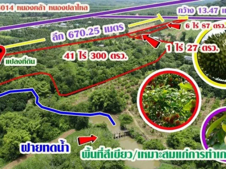 ขายสวนผลไม้ ทุเรียน เงาะ มังคุด พื้นที่ 49 ไร่ 14 ตรวบ้านหนองคล้า ท่าใหม่ จันทบุรี ราคา 39 ล้านบาท