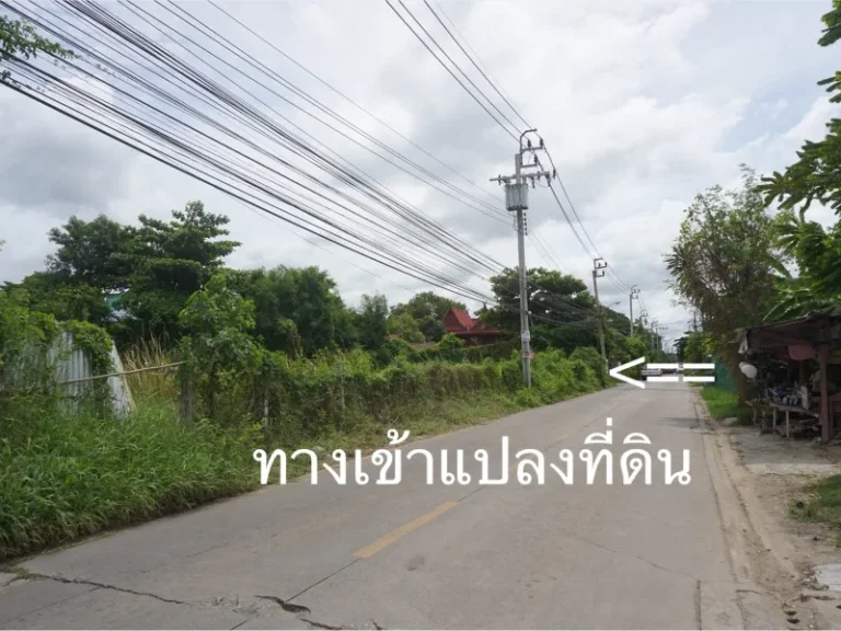 ขายที่ดิน ถเฉลิมพระเกียรติ ร 9 ใกล้ ถศรีนครินทร์ 1 ไร่