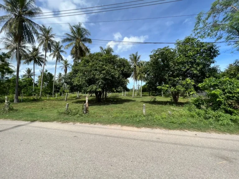 ขายที่ดิน สามร้อยยอด ประจวบคีรีขันธ์ 2 ไร่ ห่างชายหาดปราณบุรี ซอยสามร้อยยอด 6