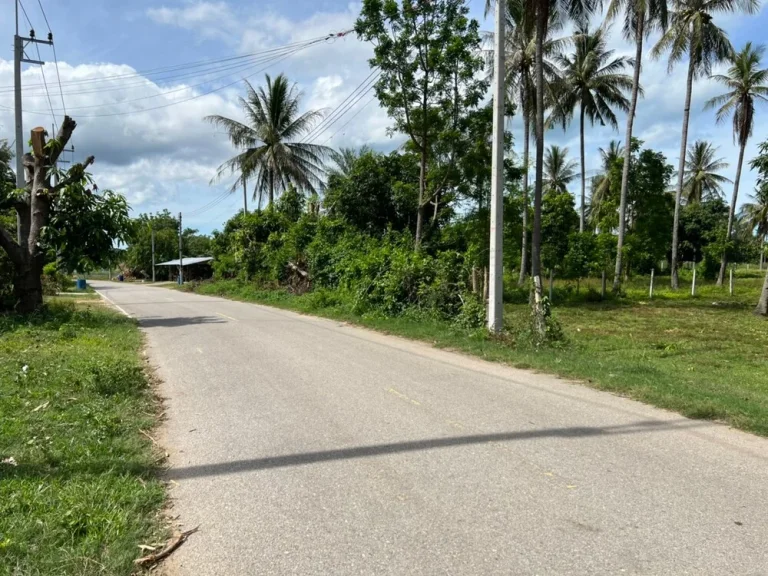 ขายที่ดิน สามร้อยยอด ประจวบคีรีขันธ์ 2 ไร่ ห่างชายหาดปราณบุรี ซอยสามร้อยยอด 6