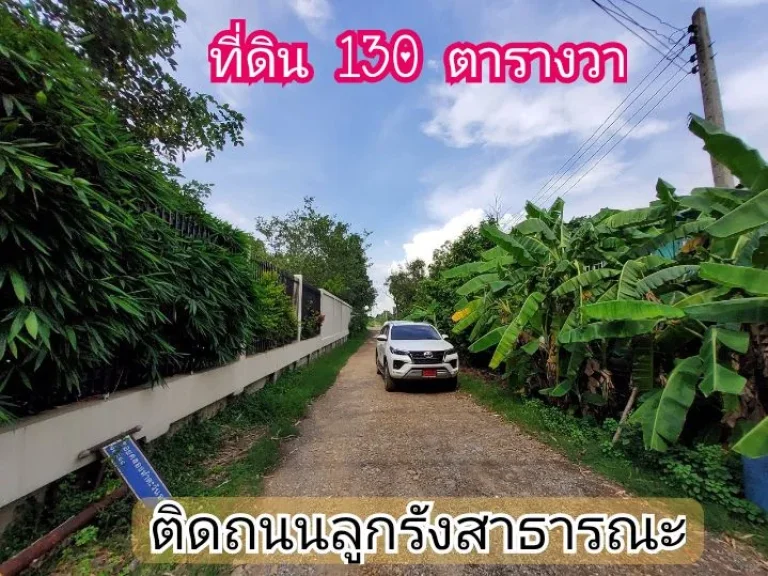 ขายด่วน ที่ดินคลองห้า 130 ตารางวา ติดถนนลูกรังสาธารณะ ซคลองห้าตะวันออก 30 อคลองหลวง