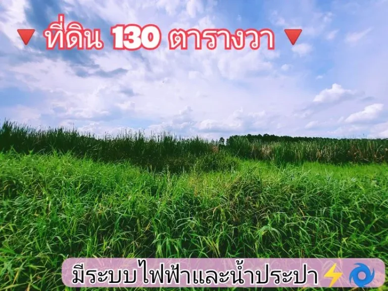 ขายด่วน ที่ดินคลองห้า 130 ตารางวา ติดถนนลูกรังสาธารณะ ซคลองห้าตะวันออก 30 อคลองหลวง