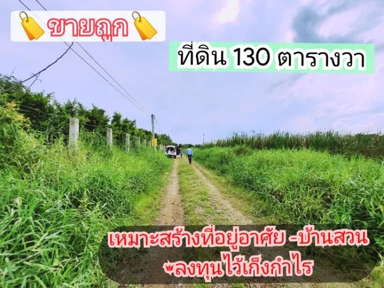 ขายด่วน ที่ดินคลองห้า 130 ตารางวา ติดถนนลูกรังสาธารณะ ซคลองห้าตะวันออก 30 อคลองหลวง