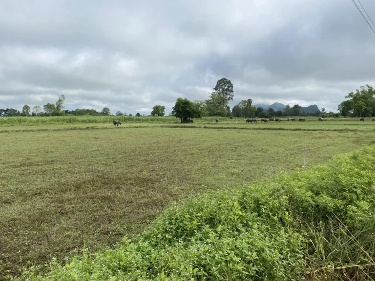 ขายที่ดิน 2 ไร่ ใกล้หุบป่าตาด ตทุ่งนางาม อลานสัก จอุทัยธานี