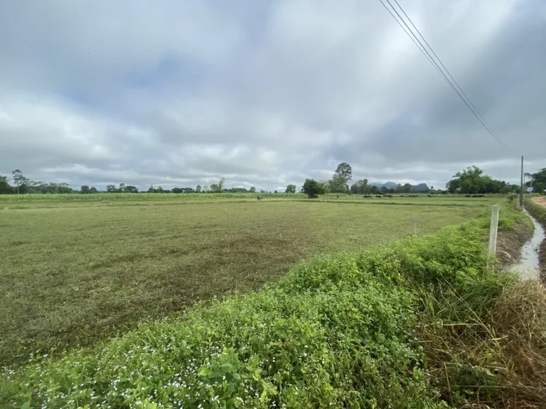 ขายที่ดิน 2 ไร่ ใกล้หุบป่าตาด ตทุ่งนางาม อลานสัก จอุทัยธานี