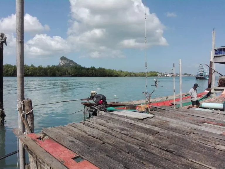 ขายที่ดินทำเลทอง เหมาะสร้างท่าเรือส่วนตัวไปเกาะสมุยเกาะพงันเกาะเต่า ด้านกน้าติดถนนด้านหลังติดแม่น้ำมองเห็นทะเลอ่าวไทย